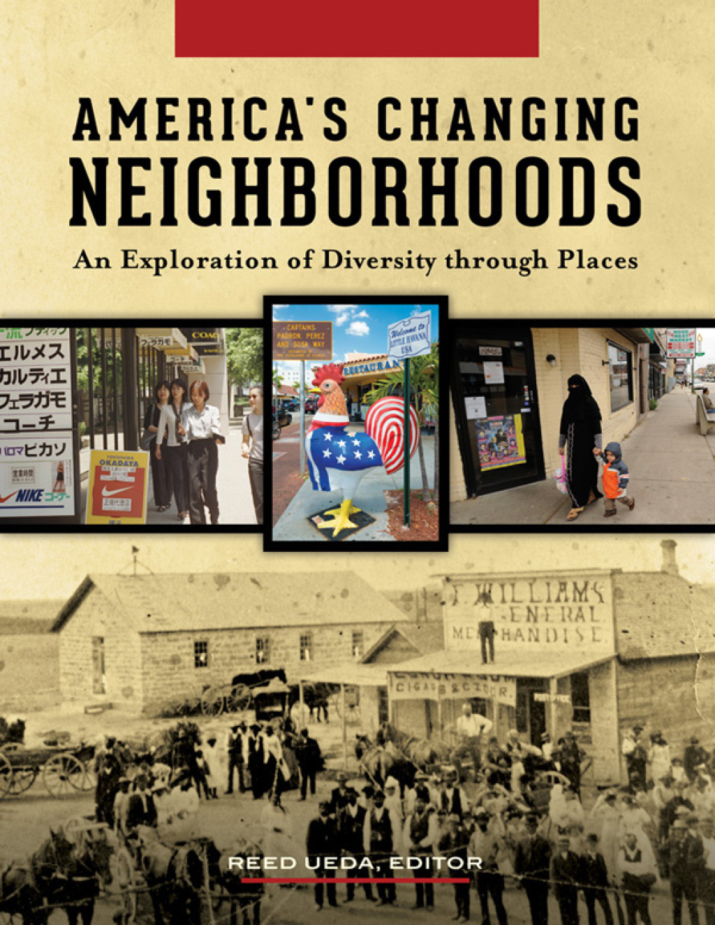 America's Changing Neighborhoods An Exploration of Diversity through Places [3 volumes] 1st Edition â€“ PDF/EPUB Version Downloadable